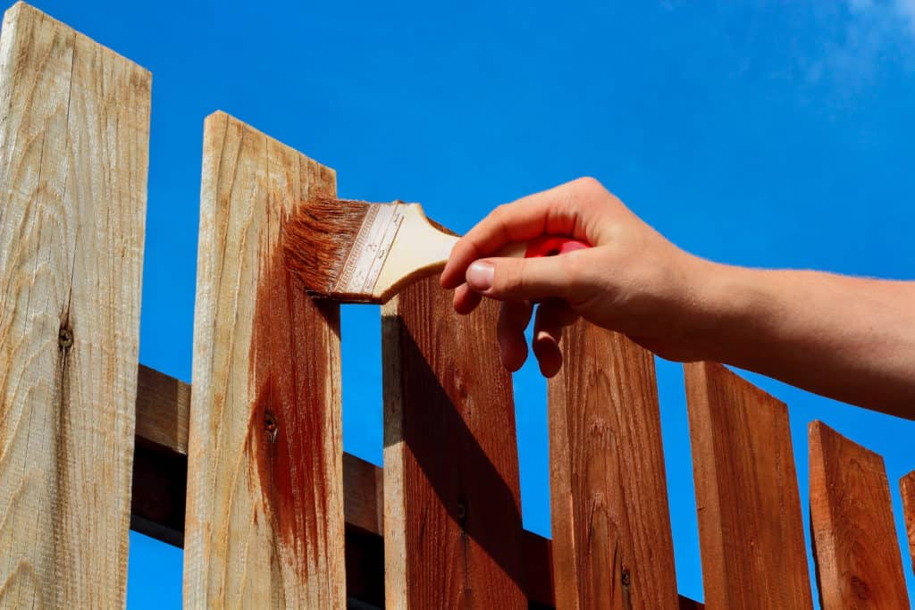 Staining a Fence